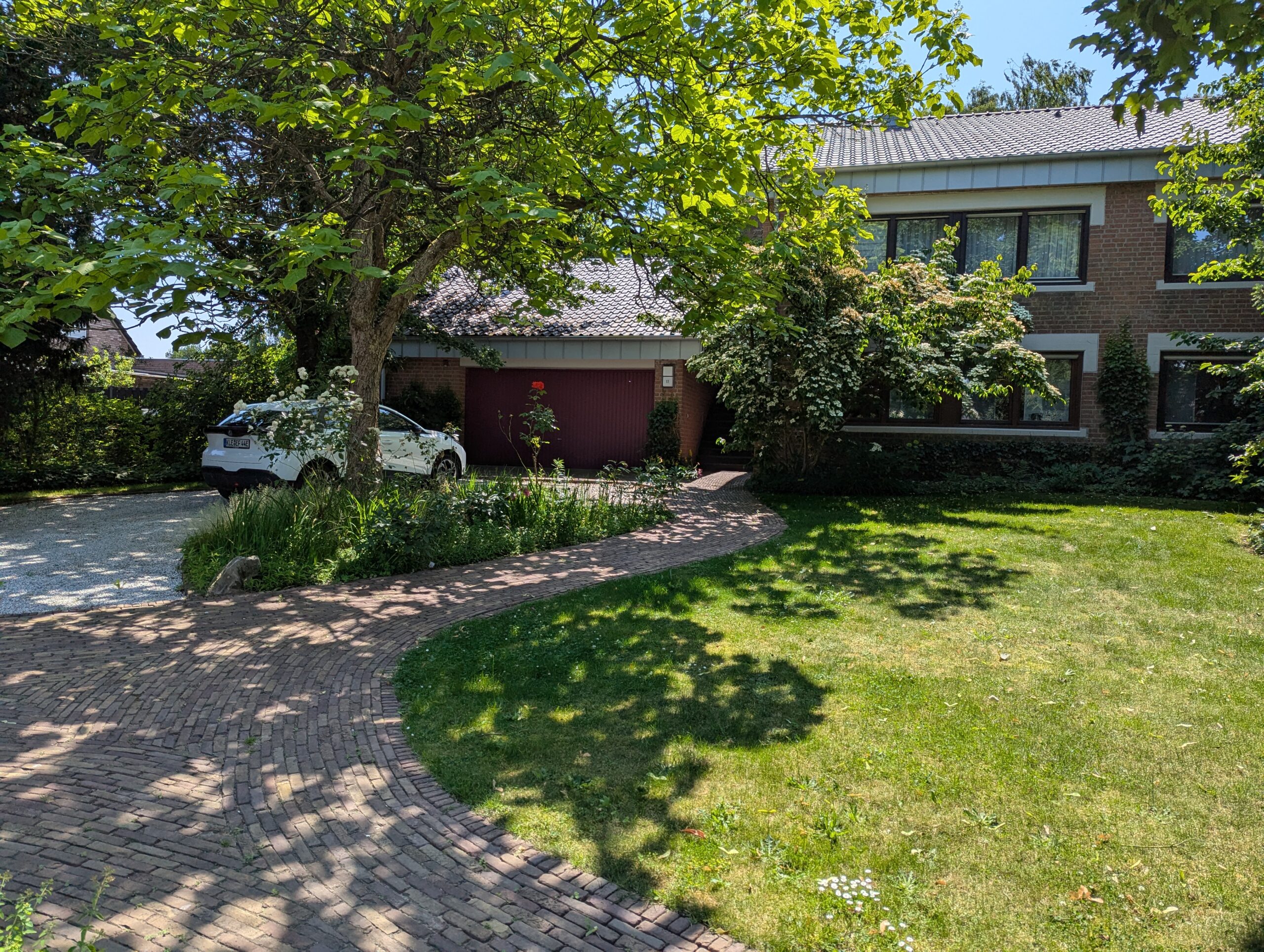 PXL_20250619_102657477